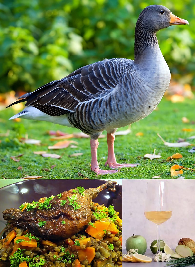 The Goose That Gave Us Domestication: Anser anser and Its Lasting Legacy