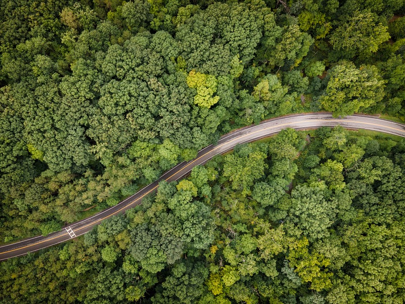 Overhead view of a road winding through a dense forest with green trees.