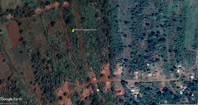 GIS on Medium - Geolocation Data and the EUDR: Key Insights and Challenges 