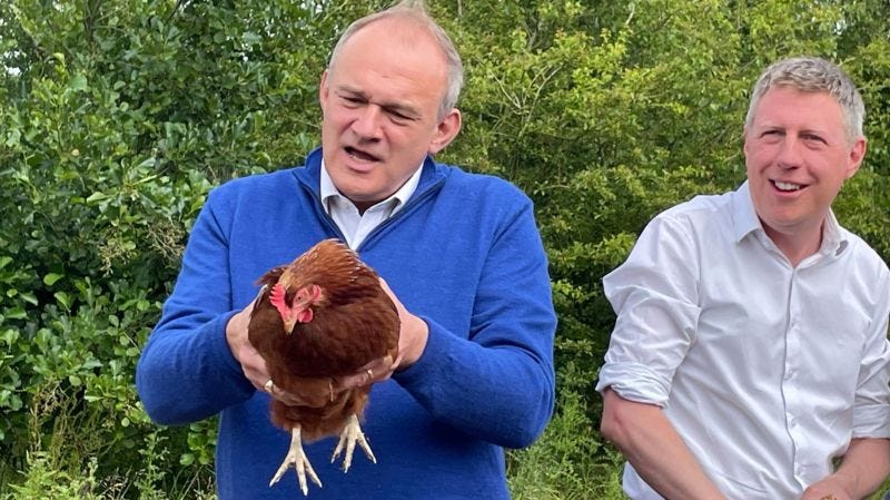 Photo of Ed Davey holding a chicken