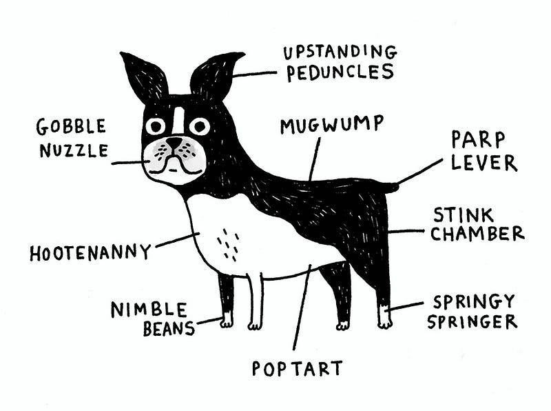 Breed-Specific Canine Anatomy – I Love Charts – Medium