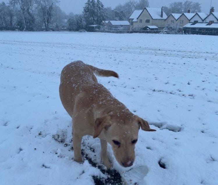 Vlognotes #11 Weeknotes S3 Eps 11 Snow, Economic Thoughts and Workshoptastic….