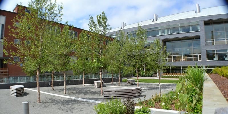 An image of a building with large windows and a courtyard filled with trees in front.