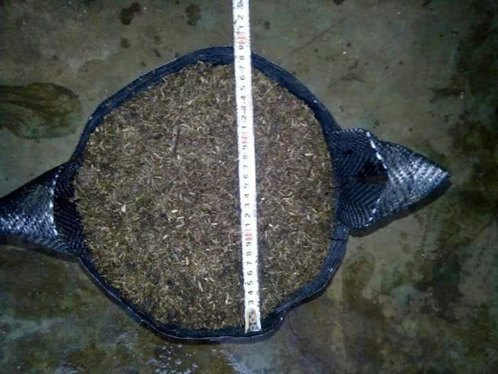 jual planter bag kirim ke jakarta hub 0811 2631 304 jual planter bag kirim ke jakarta hub 0811 2631 304