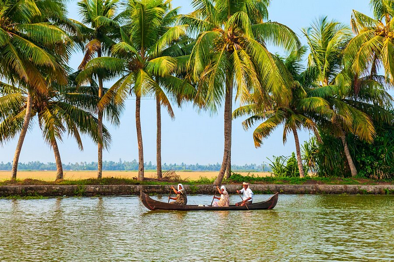 Immerse Yourself in the Culture of the Land by Visiting Local festivals and Traditions in Kerala