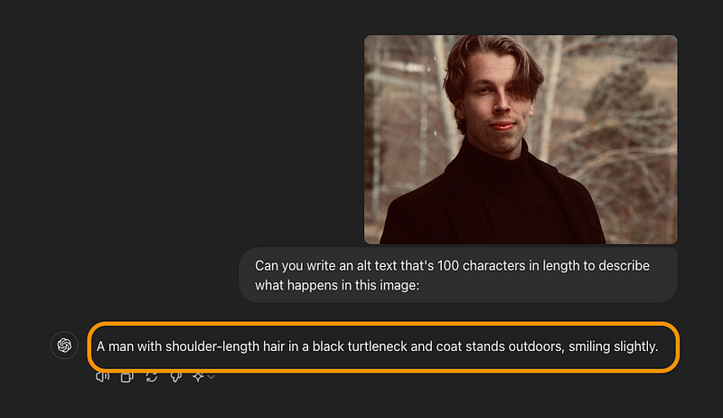 Asking AI to write an alt text for my image