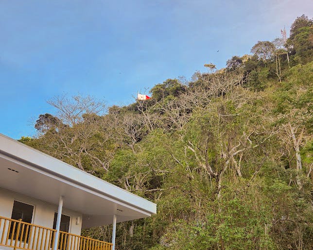 Looking up at a hillside from below, a Panamanian flag is just visible at the peak.