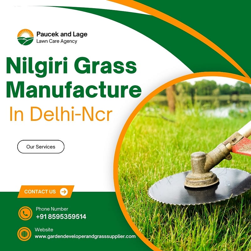 Nilgiri Grass Manufacturer in Delhi NCR