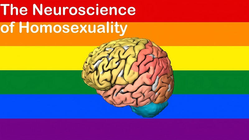 Is Homosexuality a Brain Disorder?