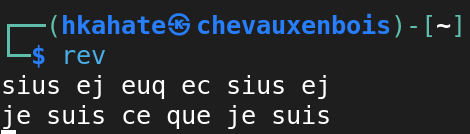 rev command