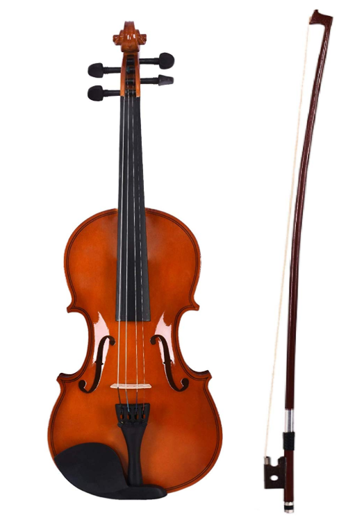 Best Violins in India 2021 - Review