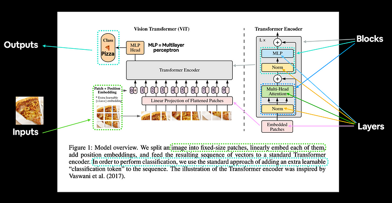 ViT Architecture