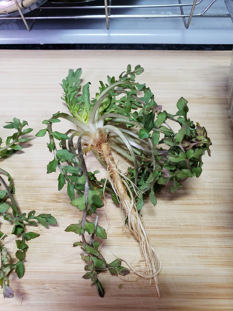 Weed Salad?