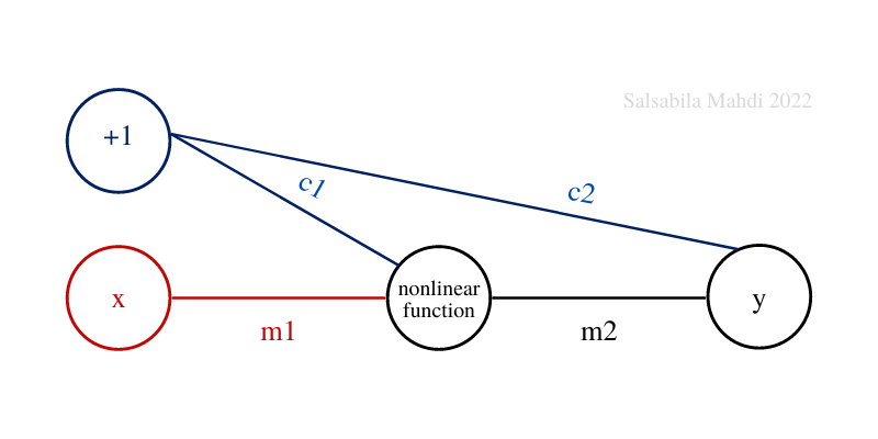 A simple neural network, 1 input, 1 output, 4 connections (Salsabila Mahdi, 2022)