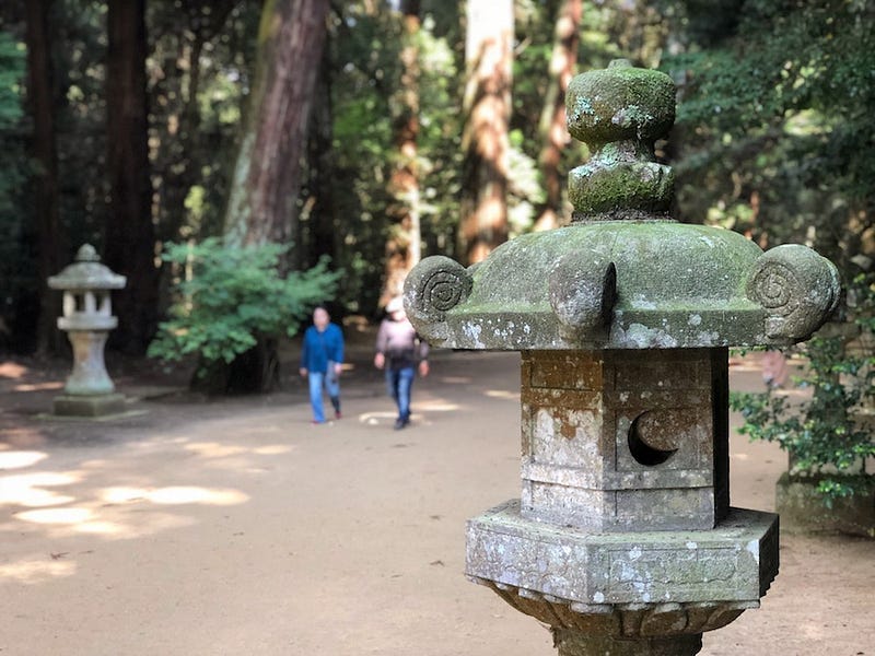 A stone lantern along a forested path at Kashima Jingu in Ibaraki Prefecture
