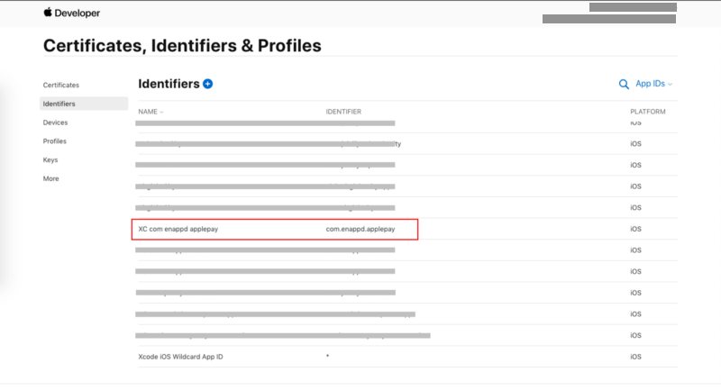 Newly created identifier in your Apple Developer Console