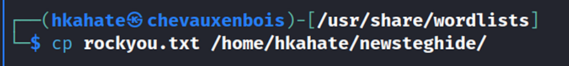 Copy the file