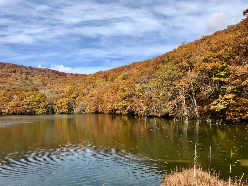 Large pond surrounded by hills covered with autumn-colored trees.