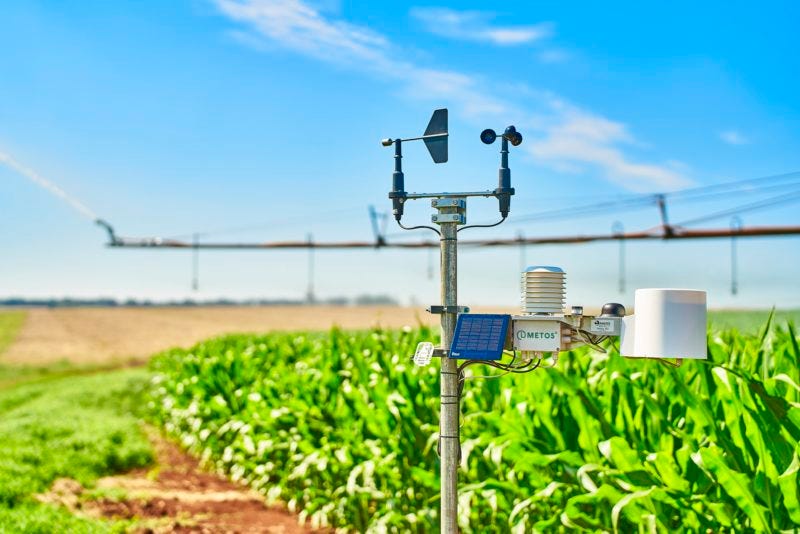 Crop protection by monitoring weather conditions