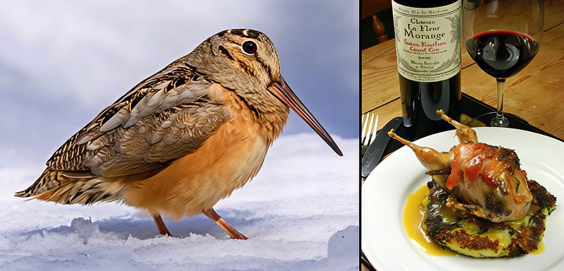 Whispers of the Timberdoodle: The Secret Life and Flavor of the American Woodcock
