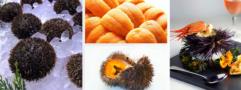 Crowned with Spines: The Secret Life and Taste of Bahun‑uni