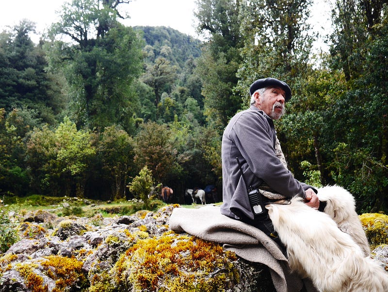 Horse riding through a river in Cochamo Valley