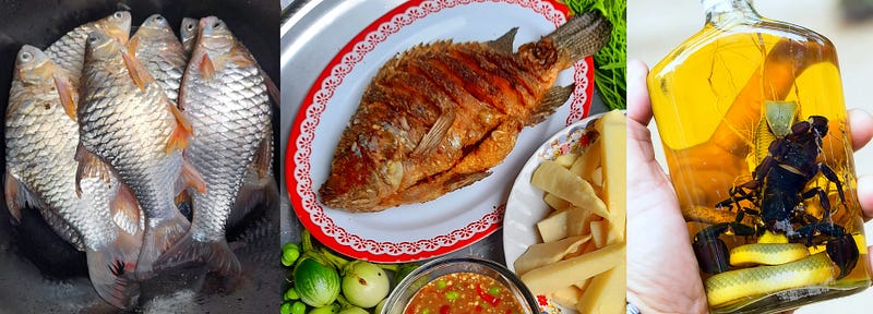 The Bandan Sharp-Mouth Barb: A Hidden Jewel of Southeast Asia’s Rivers