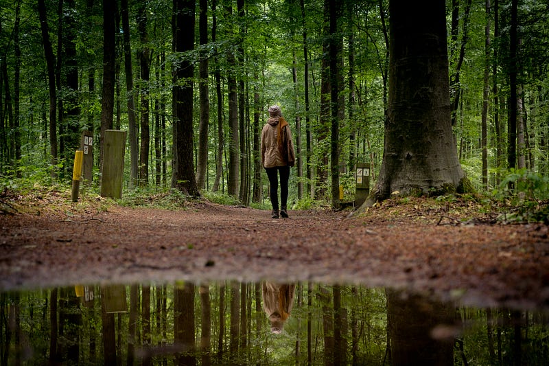 A woman standing along with the tall trees in green woods, her mirror image reflecting in the water below.