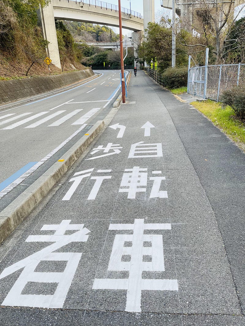 raw-image