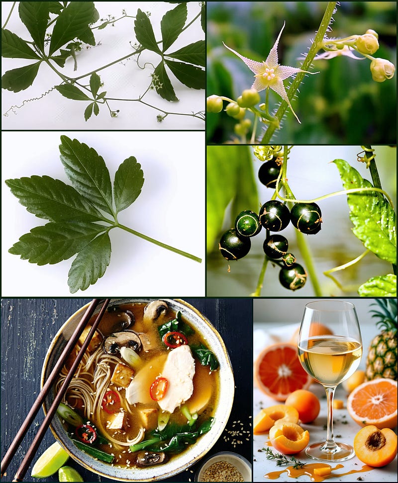 The Immortal Vine: Exploring Jiaogulan, the Herb of Longevity