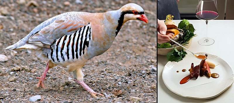 The Mountain’s Feathered Flame: Chukar Partridge and the Wild Harvest of the High Deserts