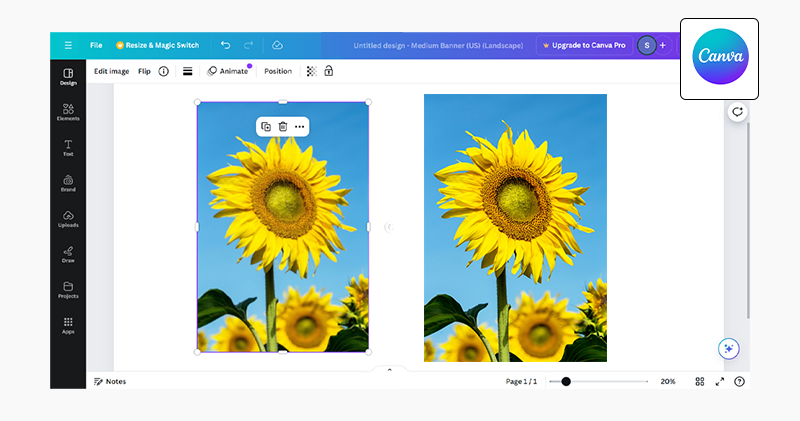how to use canva to fix blurry pictures