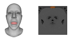 The mouth interior is modelled as a flat surface in this paper. Image reproduced directly from the arxiv paper.