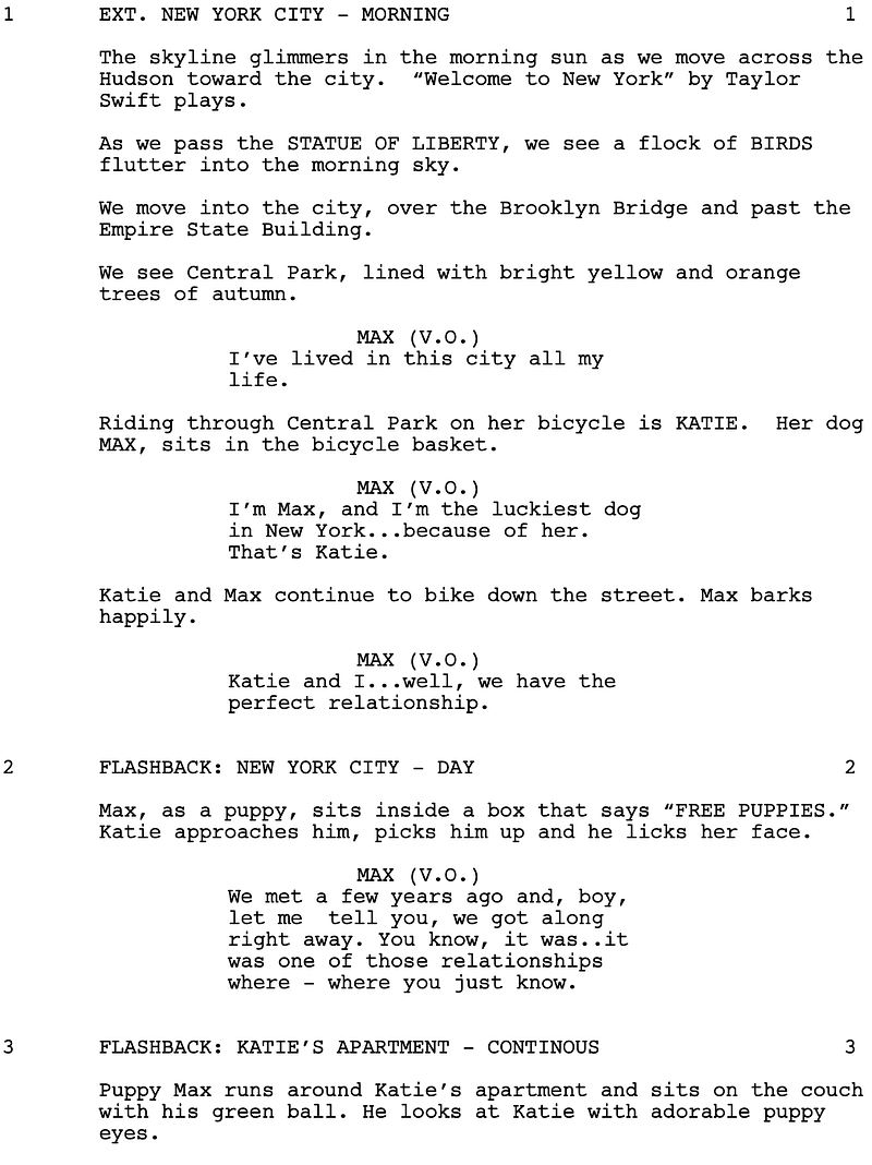 Page One: “The Secret Life of Pets” (2016)