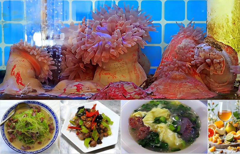 The Hidden Bloom Beneath the Tide: The Biology and Culinary Promise of Paracondylactis sinensis