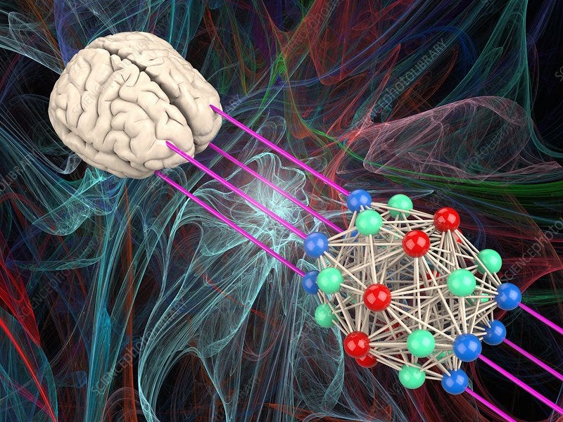 Manifestation Explained Through Neuroscience — Not Belief