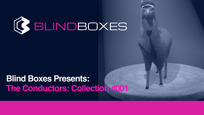 Blind Boxes Presents: The Conductors: Collection #001