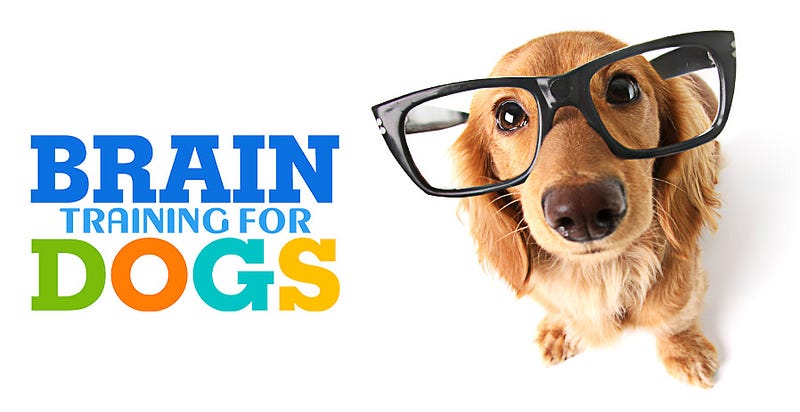 Brain Training For Dogs Review 2020