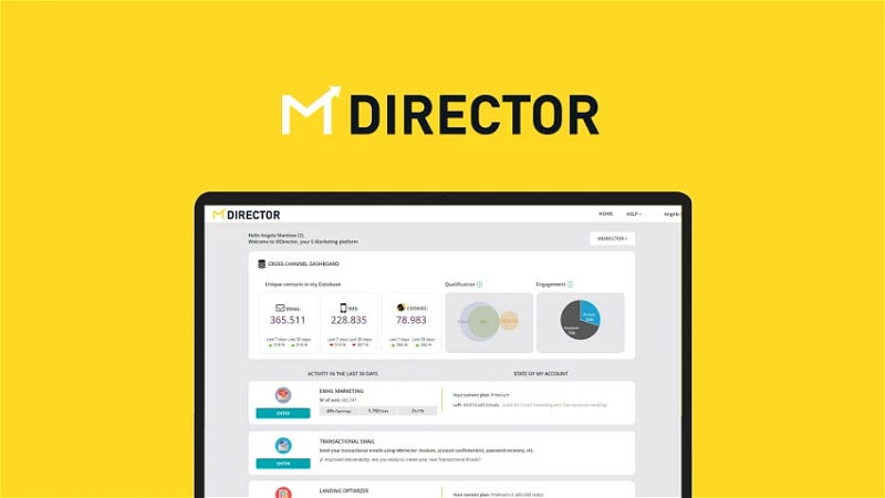 MDirector Review