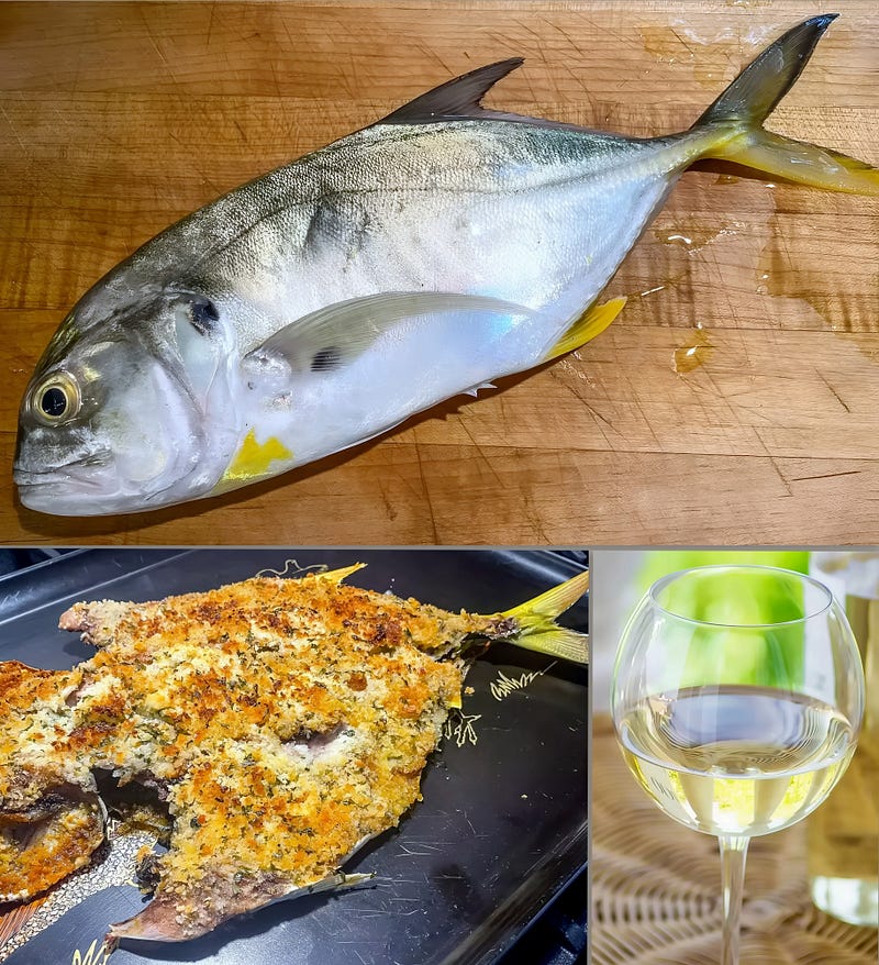 Silver Ghost of the Surf: Exploring the Atlantic Crevalle Jack (Caranx hippos)