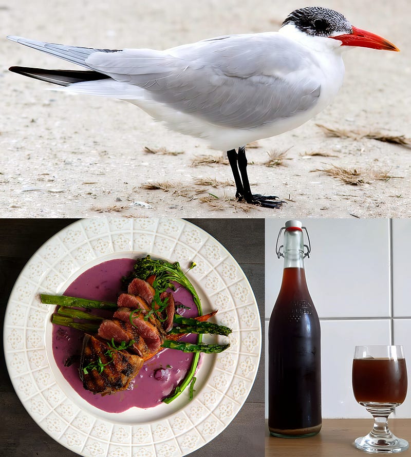 Wings Over Water: The Caspian Tern’s Journey Through Sky, Sea, and Culture