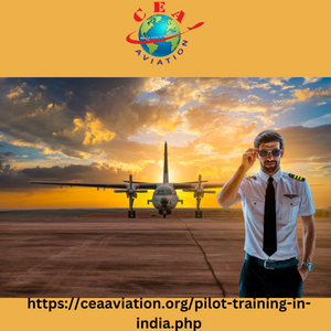 Hire Consultants For Best Flight Academy in delhi To Improve Your Results.