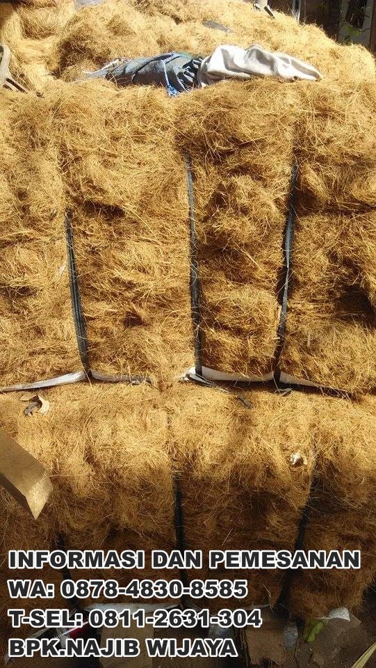 jual cocopeat bengkulu t sel 0811 2631 304 menggunakan jual cocopeat bengkulu t sel 0811 2631 304 menggunakan
