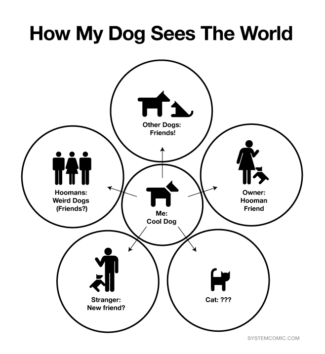 Image result for my dog is my world