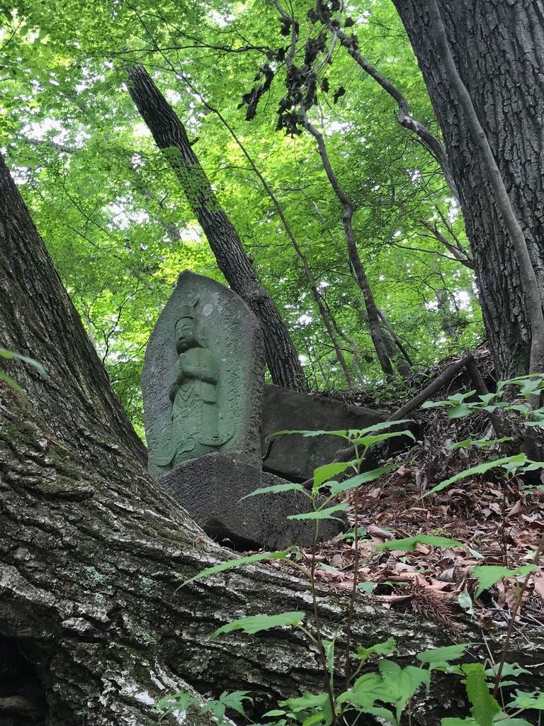 Buddhist statue among trees on hillside.
