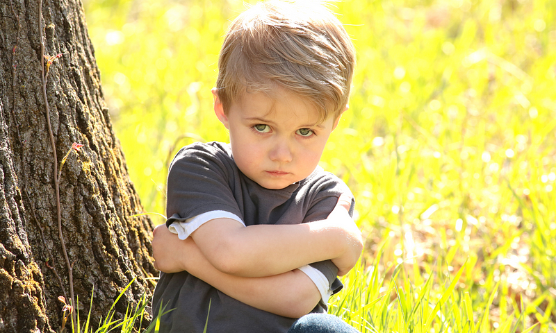 This is an image of a young child with a serious expression, sitting on the grass and leaning against a tree, with arms crossed. The sunlight filtering through the leaves creates a warm, dappled light on the scene.