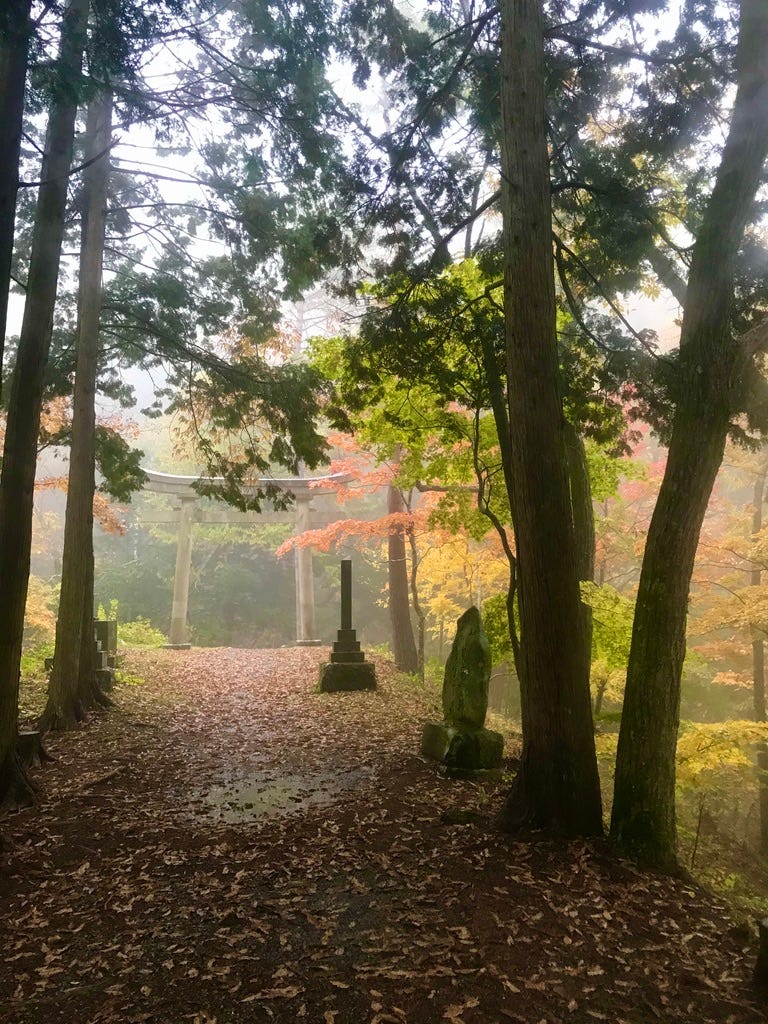 Torii gate behind autumn leaves in the mist.