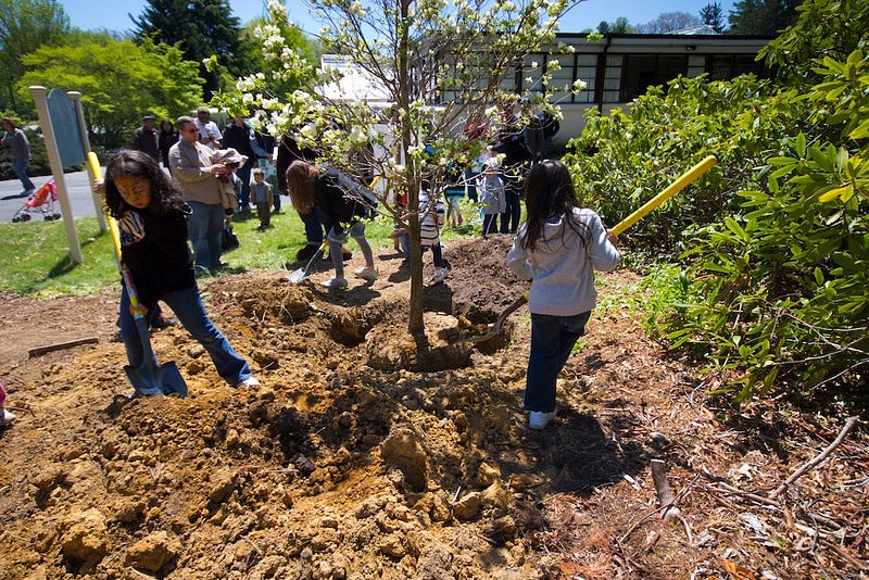On permaculture, entitlement, and that pesky third ethic: all aboard the elephant in the room 7 Children planting a tree in community orchard, urban garden