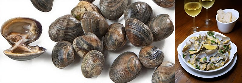 The Secret Life of the Carpet Shell Clam: From Tidal Flats to Fine Dining