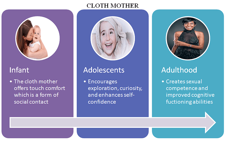 John Bowlby Stages Of Attachment